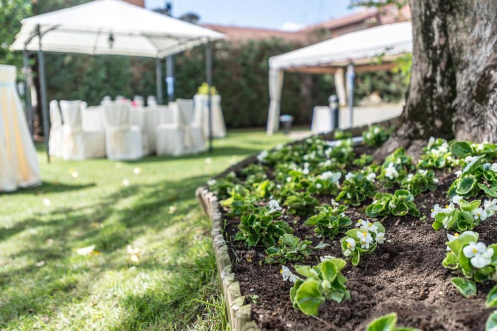 Hotel Il Vigneto Gattinara Ngoại thất bức ảnh